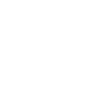 HARLEM21's emblem