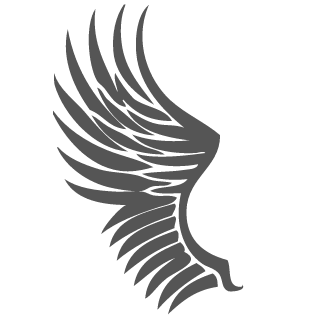 TheElzyx's emblem