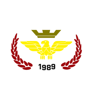 FdFifa19's emblem