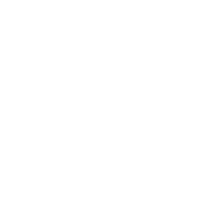 5chw31n's emblem