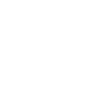 MS_QUANTOM's emblem
