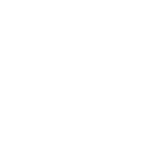N0tAPirate's emblem