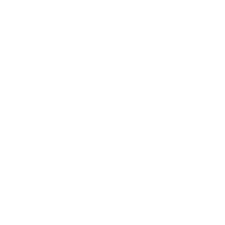 P5D17O's emblem