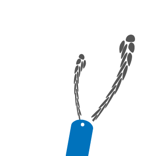oV B L I T Z Vo's emblem