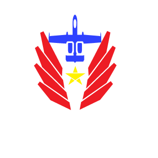 ShadowInsane's emblem