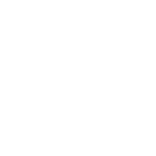CrazymonkeyC's emblem