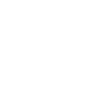 NKZ85's emblem