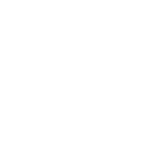 OverlordRacoon's emblem