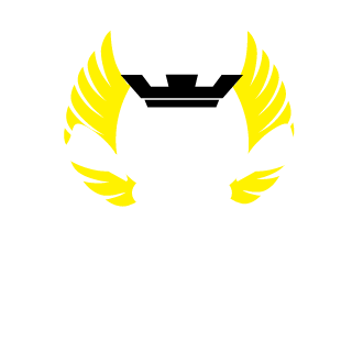 PinguiN28x5's emblem