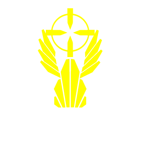 Boctambul31's emblem
