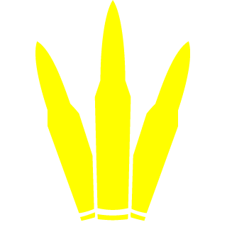 reconAML's emblem