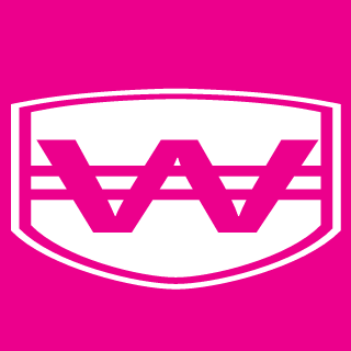 vyyq's emblem