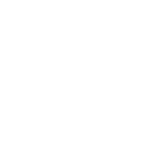 dtjr865BNMpwwy's emblem