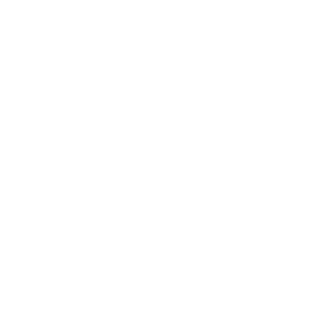 9Z_228_'s emblem