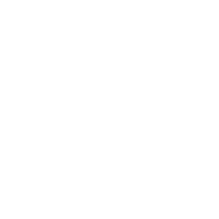 DiceLogicUser's emblem