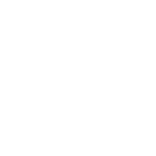 ROKKE93's emblem