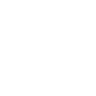 Nooby1955's emblem