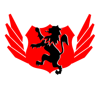 HAIDER198's emblem