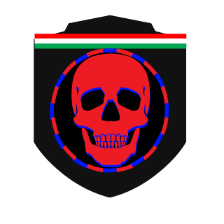 Feldia1's emblem