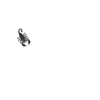 xecto's emblem