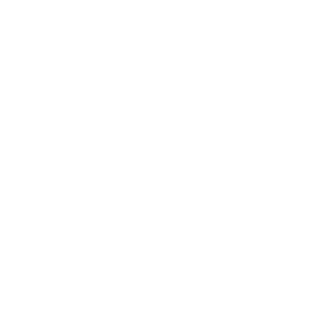 14MioAUSLNDRinDE's emblem