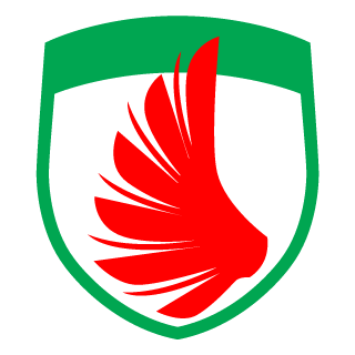 Bone_Quasar's emblem