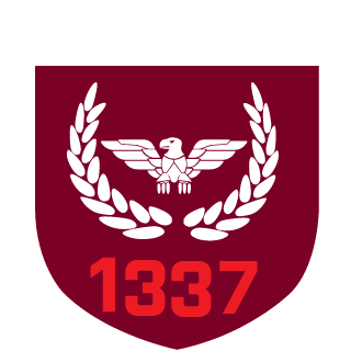 5lu_noob's emblem