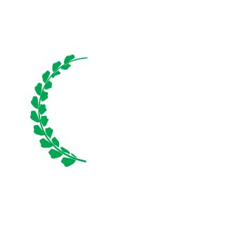 amirjan2018's emblem