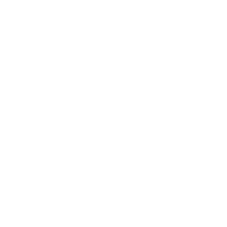 St3vieD's emblem
