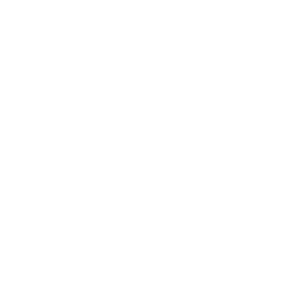 BV31-'s emblem