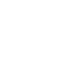 BadVasyan's emblem