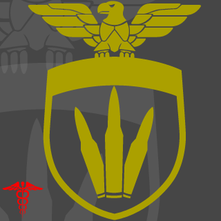 fabio_vice's emblem