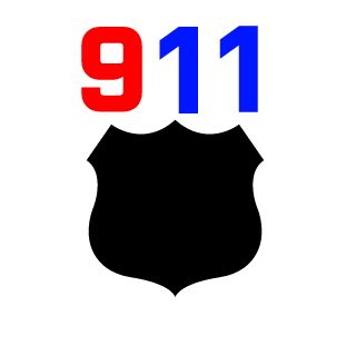 NYPD110's emblem