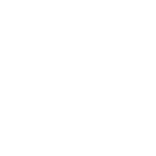 31liina's emblem