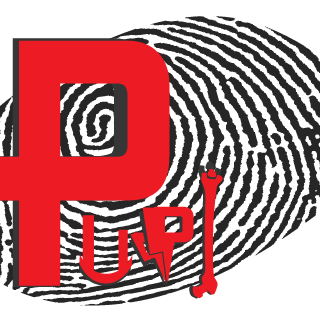 PupiCuevas's emblem