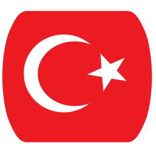 40_BOZKURT's emblem