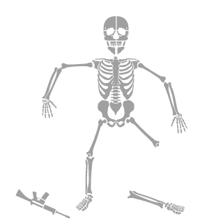 aeruny's emblem