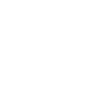 -PK-TheBullet's emblem