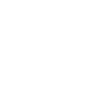7Toes_XI's emblem