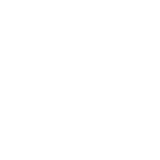 Sound_navigation's emblem