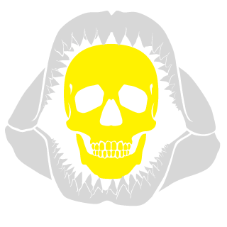 1Captain1Flint1's emblem