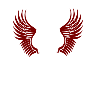 1r0nCl0ck's emblem