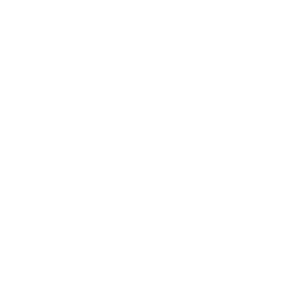 12yroldboy's emblem