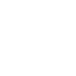 SurryScout's emblem