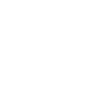 hedi120's emblem
