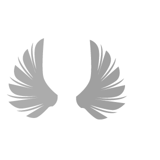 TimetiusPintu's emblem