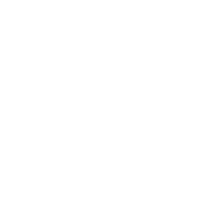 WiplashNL's emblem