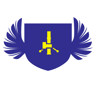 GarandDumbz's emblem