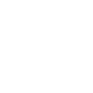 CoreUnited1488's emblem