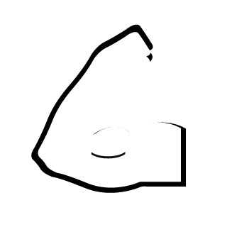 Sqamato's emblem